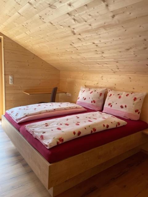 Appartements Plattei Sankt Gallenkirch Exteriér fotografie