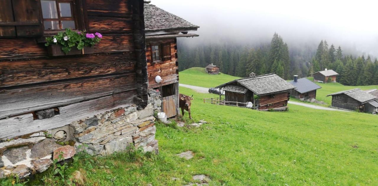 Appartements Plattei Sankt Gallenkirch Exteriér fotografie