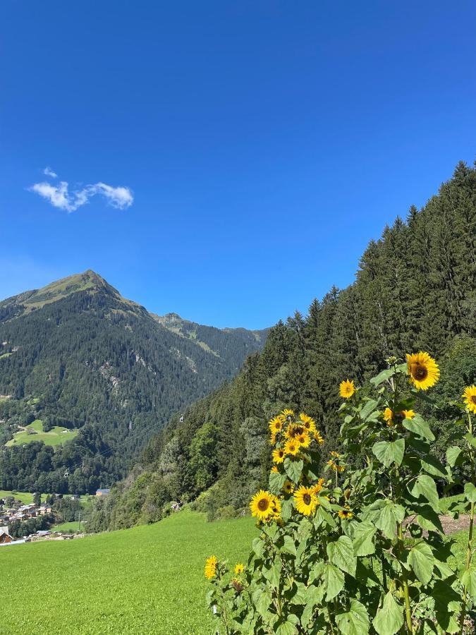 Appartements Plattei Sankt Gallenkirch Exteriér fotografie